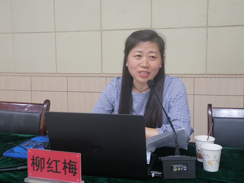 柳红梅老师作报告