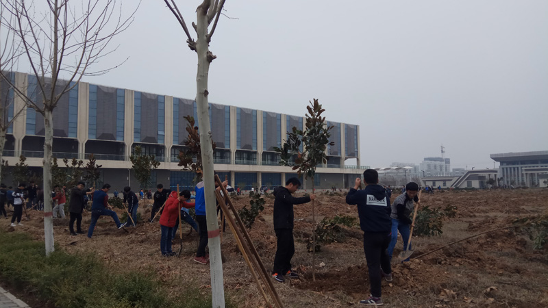 后勤植树.jpg