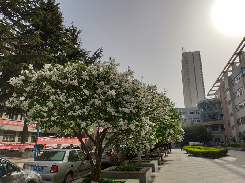 第六届"最美陕铁院"之"铁院之春"摄影大赛结束