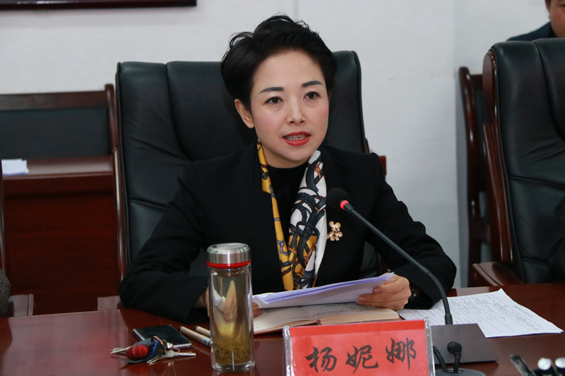 杨妮娜汇报2017年以来陕铁院在洋县开展帮扶工作情况